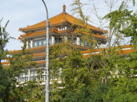 Natiional Art Museum in Beijing China
